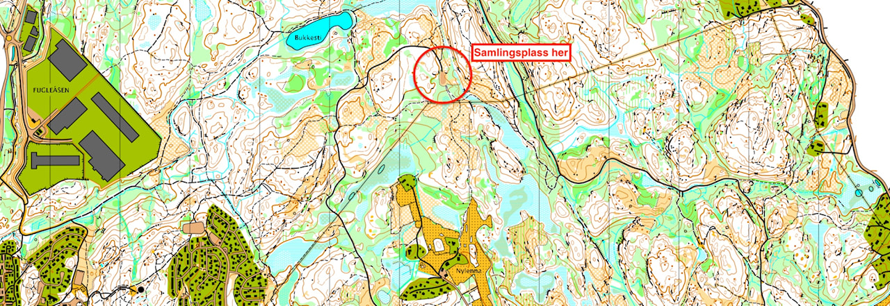 Trening - Snu/lunneplassen ved Bukkestitjern